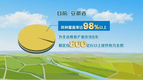 種業(yè)全鏈條創(chuàng)新，科技服務(wù)護(hù)航“江淮糧倉”建設(shè)