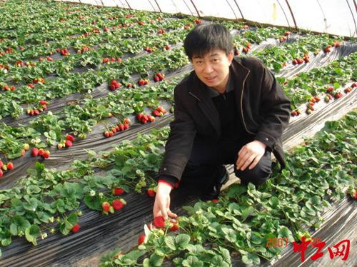 28載農技推廣路 堅守一線，播撒科技興農的種子